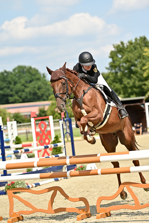 Bundesnachwuchschampionat Vielseitigkeit 2025 | 09082025 Springen Pferde _028 