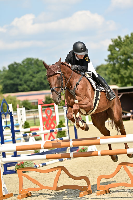 Bundesnachwuchschampionat Vielseitigkeit 2025 | 09082025 Springen Pferde _029 