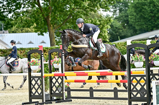 Bundesnachwuchschampionat Vielseitigkeit 2025 | 09082025 Springen Pferde _045 