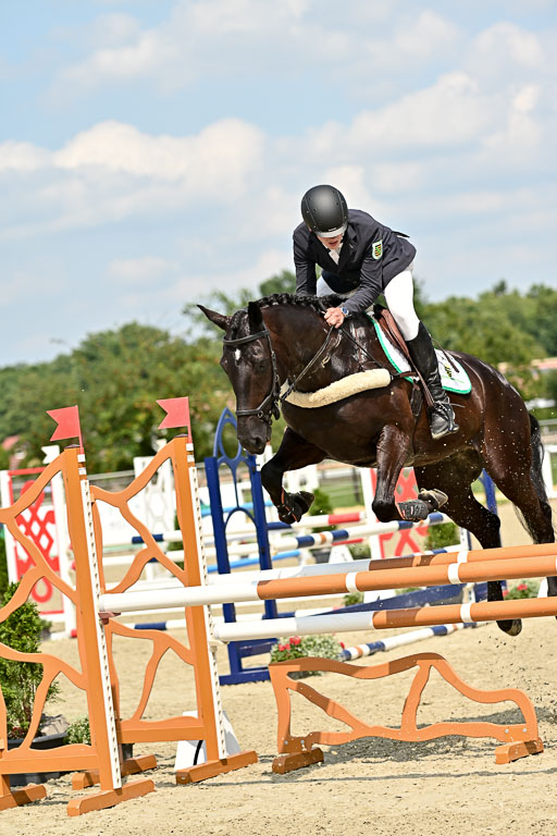 Bundesnachwuchschampionat Vielseitigkeit 2025 | 09082025 Springen Pferde _047 