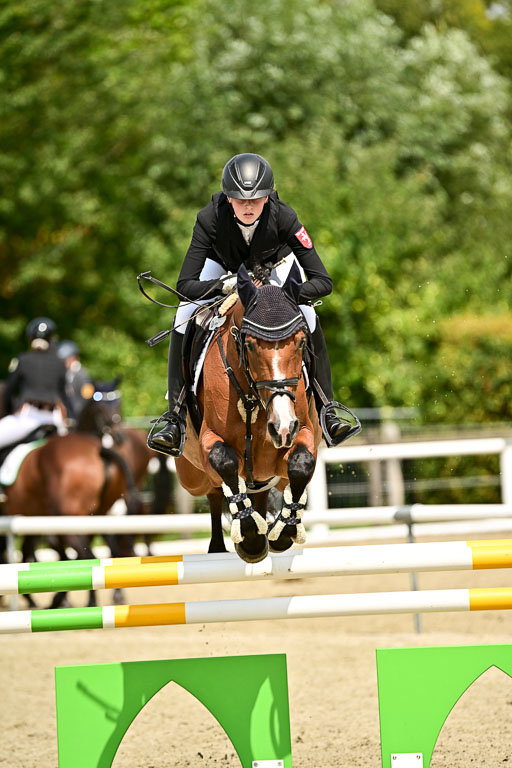Bundesnachwuchschampionat Vielseitigkeit 2025 | 09082025 Springen Pferde _104 