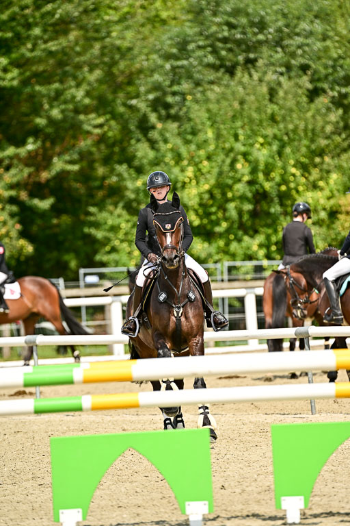 Bundesnachwuchschampionat Vielseitigkeit 2025 | 09082025 Springen Pferde _127 