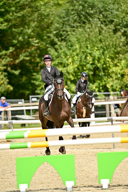 Bundesnachwuchschampionat Vielseitigkeit 2025 | 09082025 Springen Pferde _147 