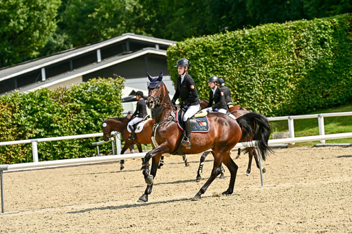 Bundesnachwuchschampionat Vielseitigkeit 2025 | 09082025 Springen Pferde _184 