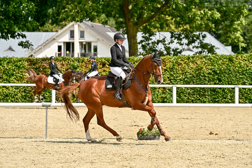 Bundesnachwuchschampionat Vielseitigkeit 2025 | 09082025 Springen Pferde _232 