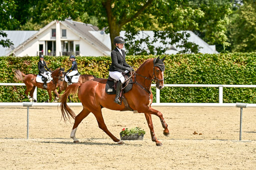 Bundesnachwuchschampionat Vielseitigkeit 2025 | 09082025 Springen Pferde _233 