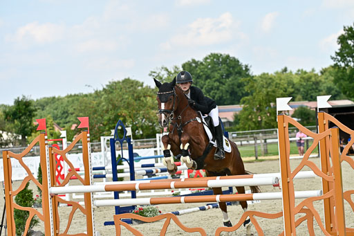 Bundesnachwuchschampionat Vielseitigkeit 2025 | 09082025 Springen Pferde _253 