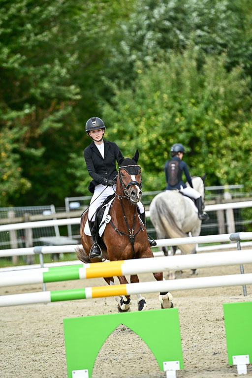 Bundesnachwuchschampionat Vielseitigkeit 2025 | 09082025 Springen Pferde _256 