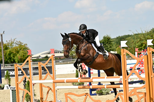 Bundesnachwuchschampionat Vielseitigkeit 2025 | 09082025 Springen Pferde _266 