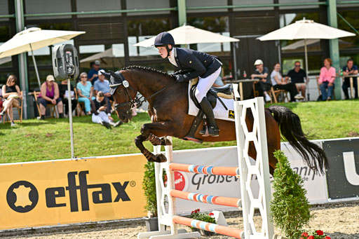 Bundesnachwuchschampionat Vielseitigkeit 2025 | 09082025 Springen Pferde _303 