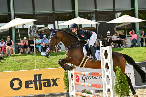 Bundesnachwuchschampionat Vielseitigkeit 2025 | 09082025 Springen Pferde _318 