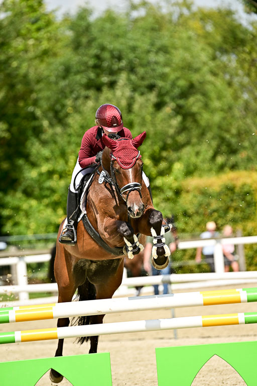 Bundesnachwuchschampionat Vielseitigkeit 2025 | 09082025 Springen Pferde _334 