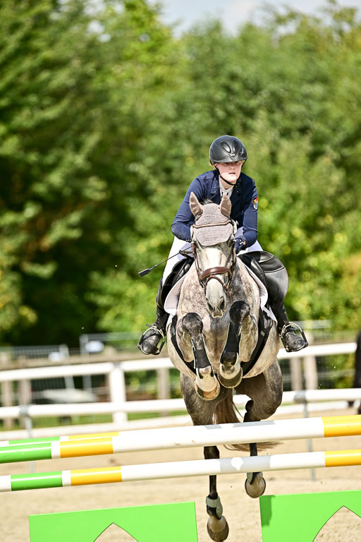 Bundesnachwuchschampionat Vielseitigkeit 2025 | 09082025 Springen Pferde _367 