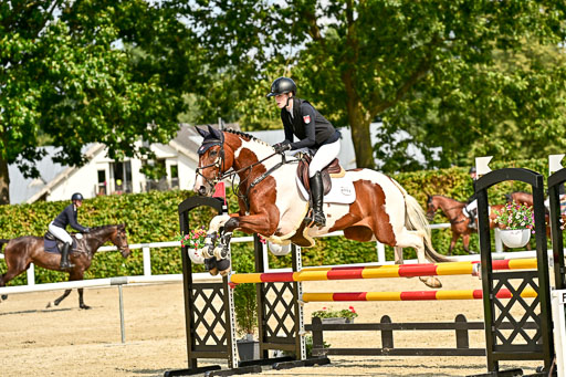 Bundesnachwuchschampionat Vielseitigkeit 2025 | 09082025 Springen Pferde _475 