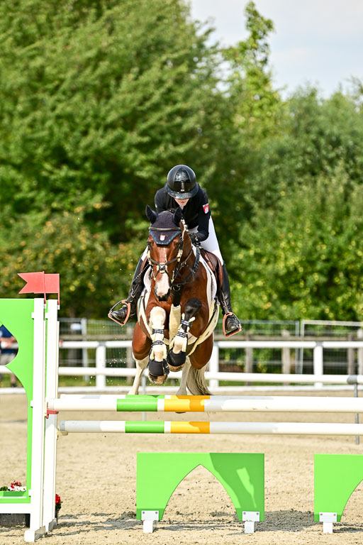Bundesnachwuchschampionat Vielseitigkeit 2025 | 09082025 Springen Pferde _481 