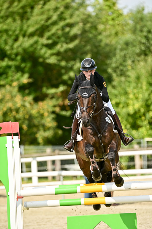 Bundesnachwuchschampionat Vielseitigkeit 2025 | 09082025 Springen Pferde _491 