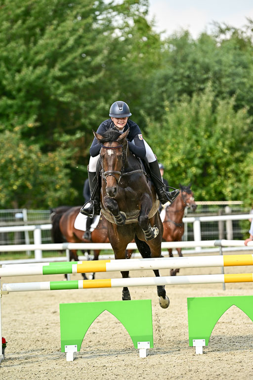 Bundesnachwuchschampionat Vielseitigkeit 2025 | 09082025 Springen Pferde _533 
