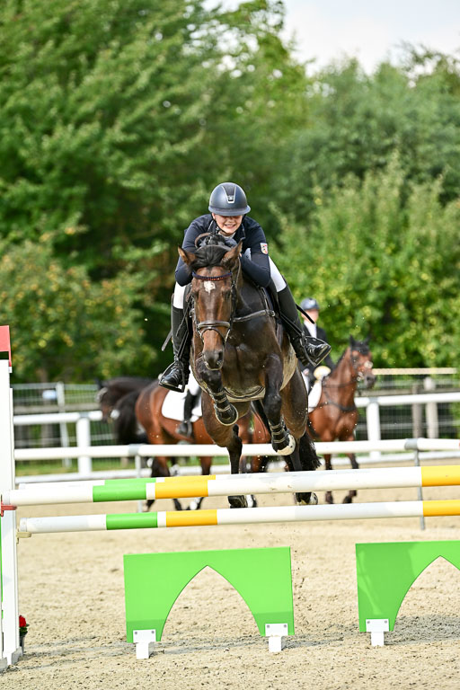 Bundesnachwuchschampionat Vielseitigkeit 2025 | 09082025 Springen Pferde _534 