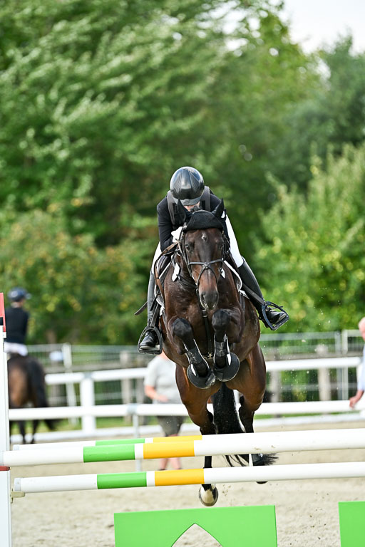 Bundesnachwuchschampionat Vielseitigkeit 2025 | 09082025 Springen Pferde _544 