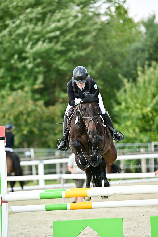 Bundesnachwuchschampionat Vielseitigkeit 2025 | 09082025 Springen Pferde _545 