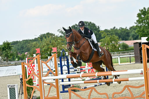 Bundesnachwuchschampionat Vielseitigkeit 2025 | 09082025 Springen Pferde _561 