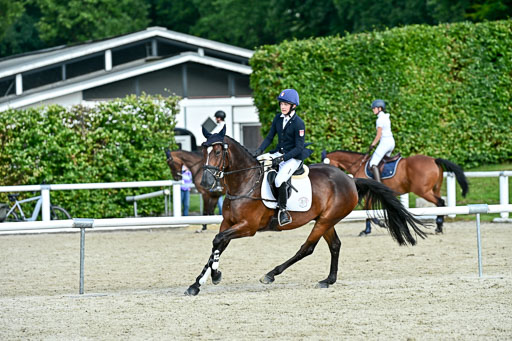 Bundesnachwuchschampionat Vielseitigkeit 2025 | 09082025 Springen Pferde _623 