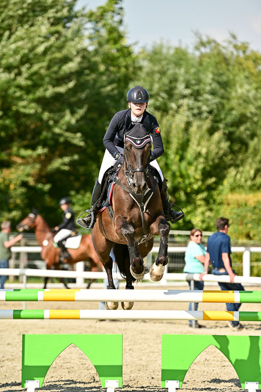 Bundesnachwuchschampionat Vielseitigkeit 2025 | 09082025 Springen Pferde _663 