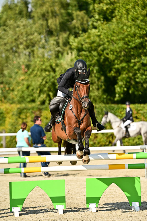 Bundesnachwuchschampionat Vielseitigkeit 2025 | 09082025 Springen Pferde _673 