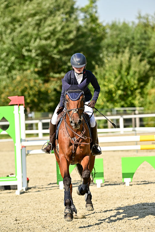 Bundesnachwuchschampionat Vielseitigkeit 2025 | 09082025 Springen Pferde _686 