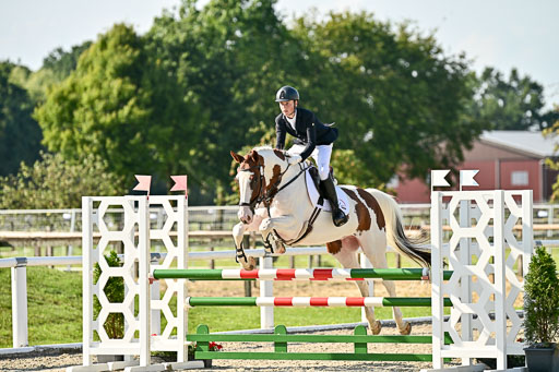 Bundesnachwuchschampionat Vielseitigkeit 2025 | 09082025 Springen Pferde _721 