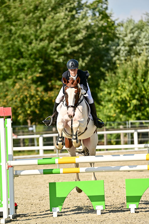 Bundesnachwuchschampionat Vielseitigkeit 2025 | 09082025 Springen Pferde _729 