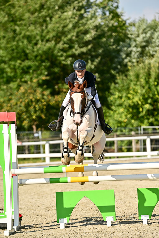 Bundesnachwuchschampionat Vielseitigkeit 2025 | 09082025 Springen Pferde _730 
