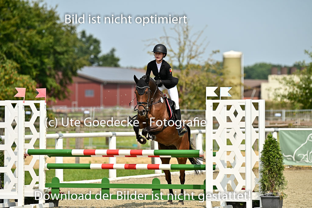 Bundesnachwuchschampionat Vielseitigkeit 2025 | 09082025 Springen Ponys _011 