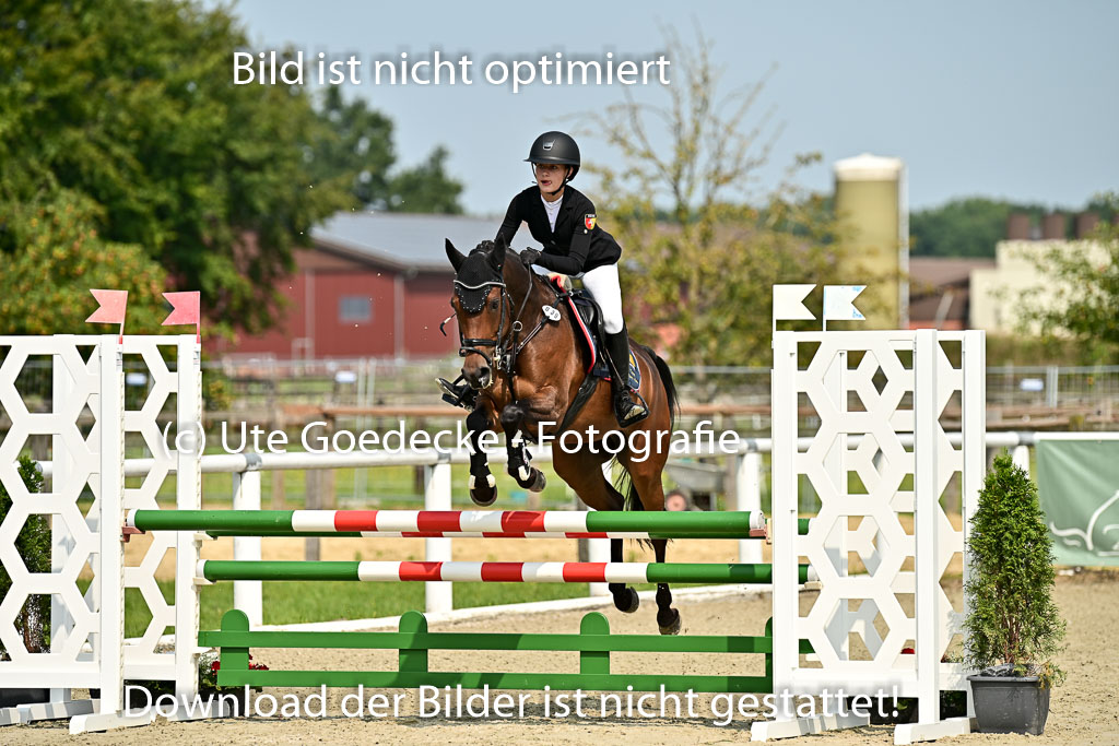 Bundesnachwuchschampionat Vielseitigkeit 2025 | 09082025 Springen Ponys _012 