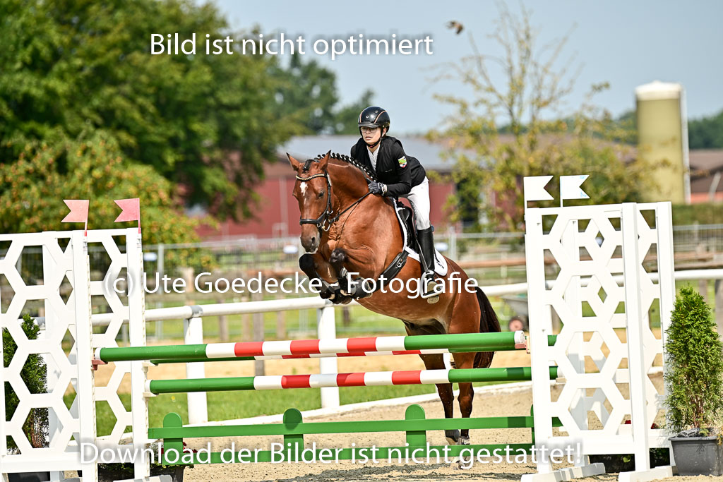 Bundesnachwuchschampionat Vielseitigkeit 2025 | 09082025 Springen Ponys _016 