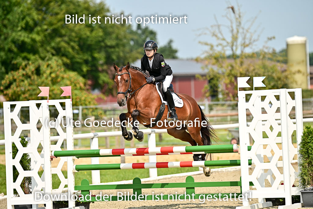 Bundesnachwuchschampionat Vielseitigkeit 2025 | 09082025 Springen Ponys _017 