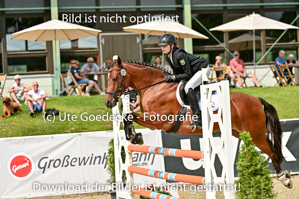 09082025-Springen-Ponys-_019.jpg