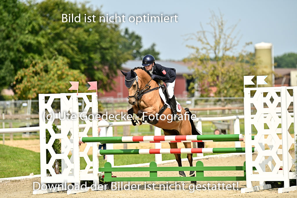 Bundesnachwuchschampionat Vielseitigkeit 2025 | 09082025 Springen Ponys _029 