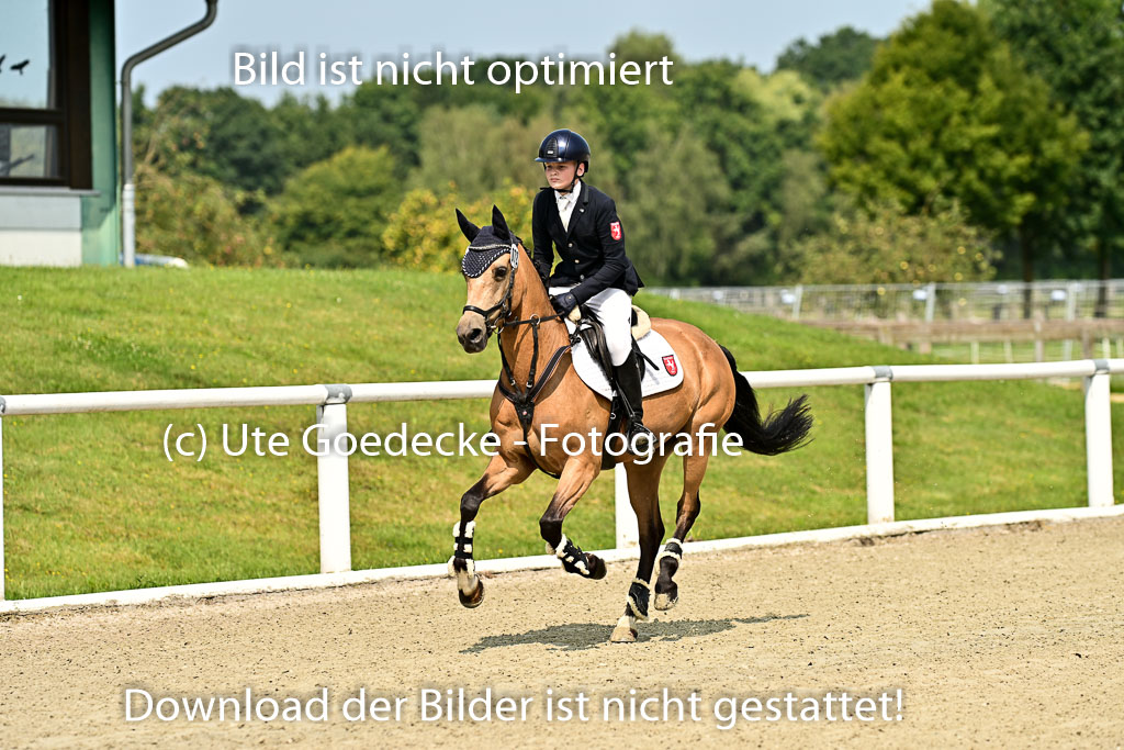 Bundesnachwuchschampionat Vielseitigkeit 2025 | 09082025 Springen Ponys _031 
