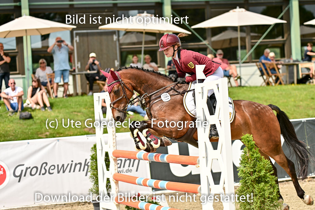 Bundesnachwuchschampionat Vielseitigkeit 2025 | 09082025 Springen Ponys _051 