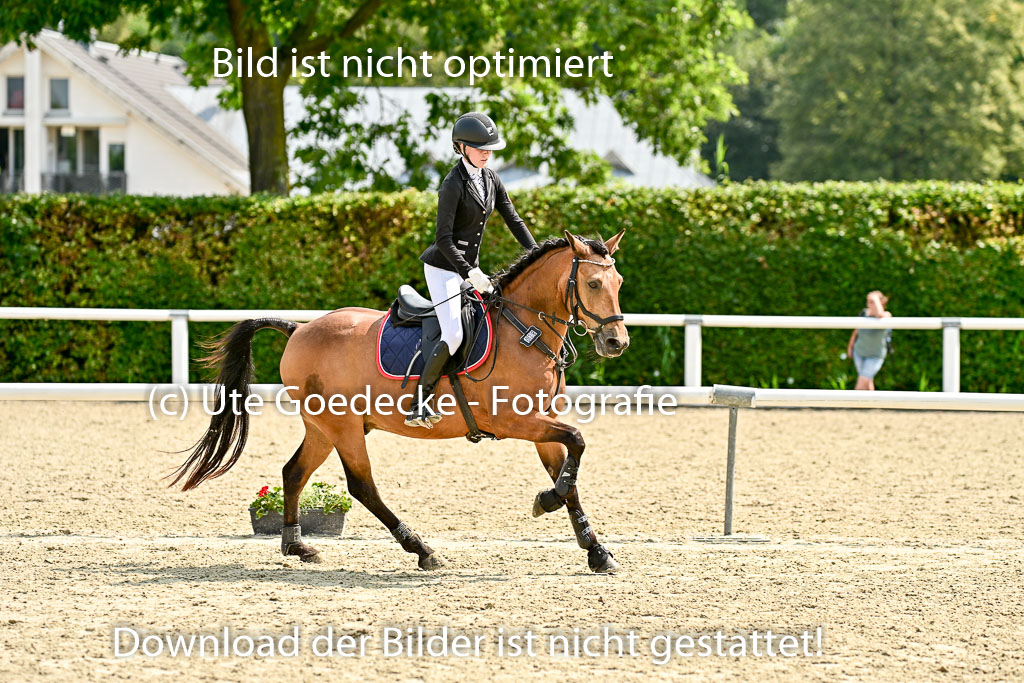 Bundesnachwuchschampionat Vielseitigkeit 2025 | 09082025 Springen Ponys _058 