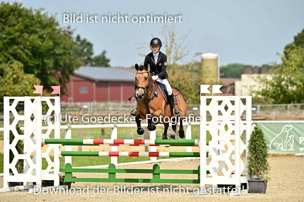 Bundesnachwuchschampionat Vielseitigkeit 2025 | 09082025 Springen Ponys _060 