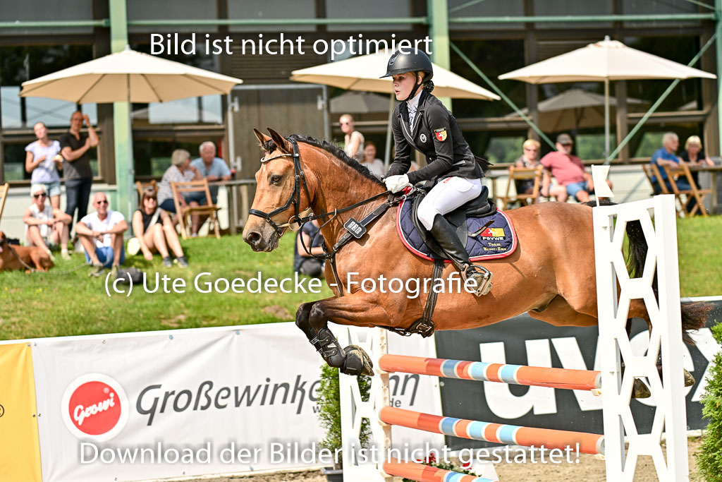 Bundesnachwuchschampionat Vielseitigkeit 2025 | 09082025 Springen Ponys _063 