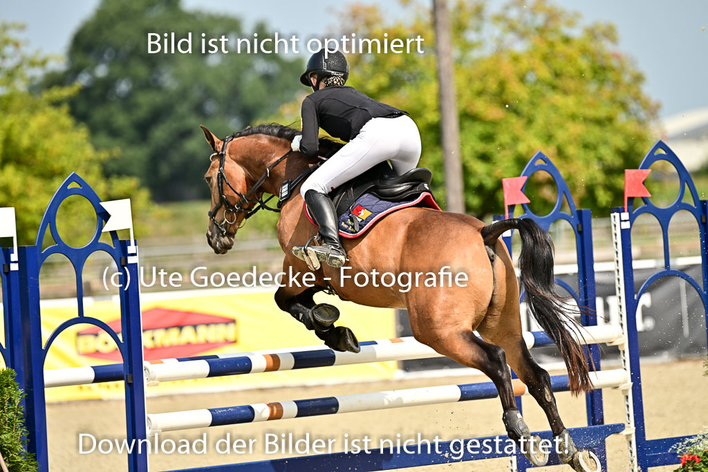 Bundesnachwuchschampionat Vielseitigkeit 2025 | 09082025 Springen Ponys _066 