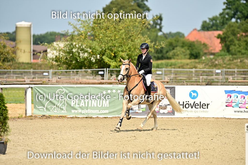 Bundesnachwuchschampionat Vielseitigkeit 2025 | 09082025 Springen Ponys _079 