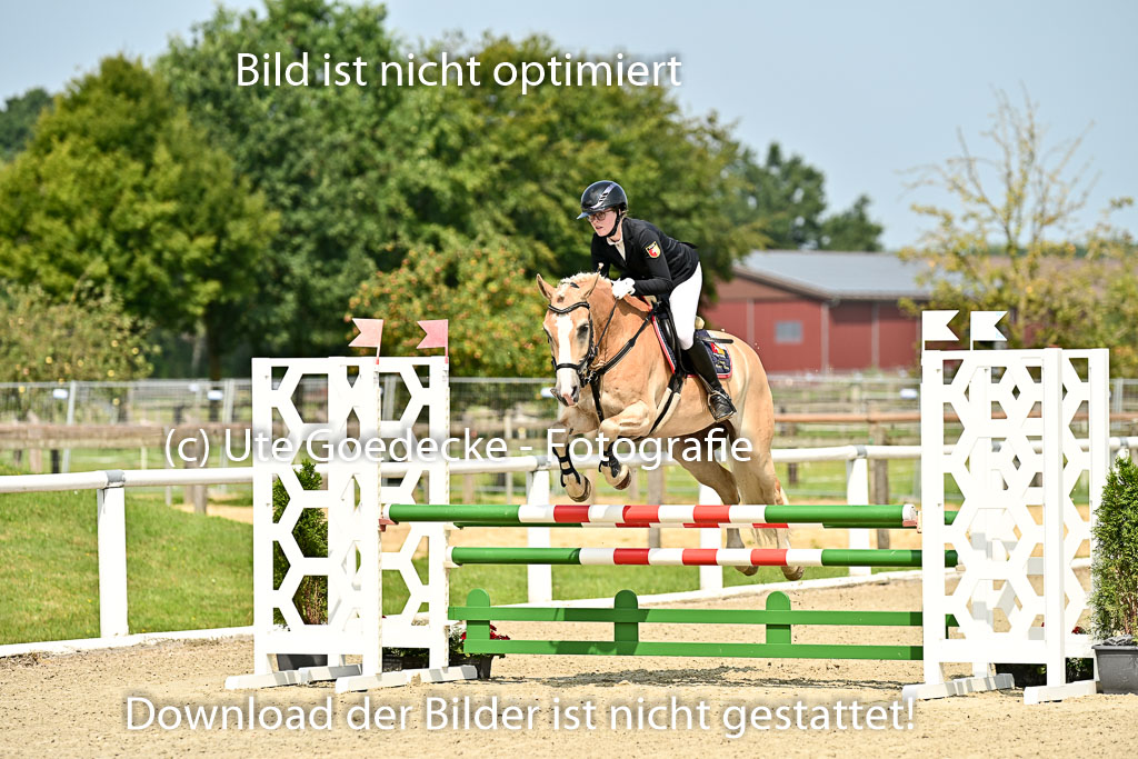 Bundesnachwuchschampionat Vielseitigkeit 2025 | 09082025 Springen Ponys _081 