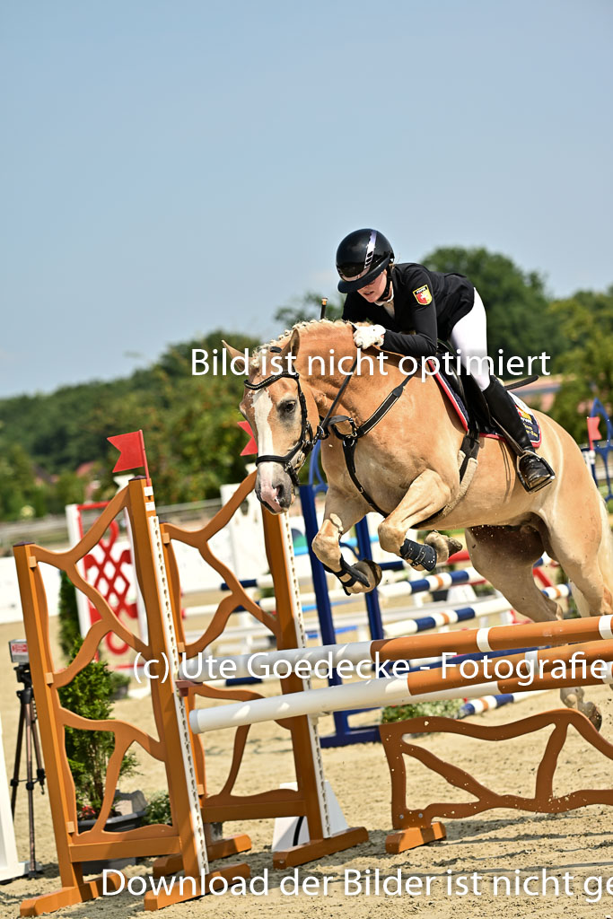 Bundesnachwuchschampionat Vielseitigkeit 2025 | 09082025 Springen Ponys _084 