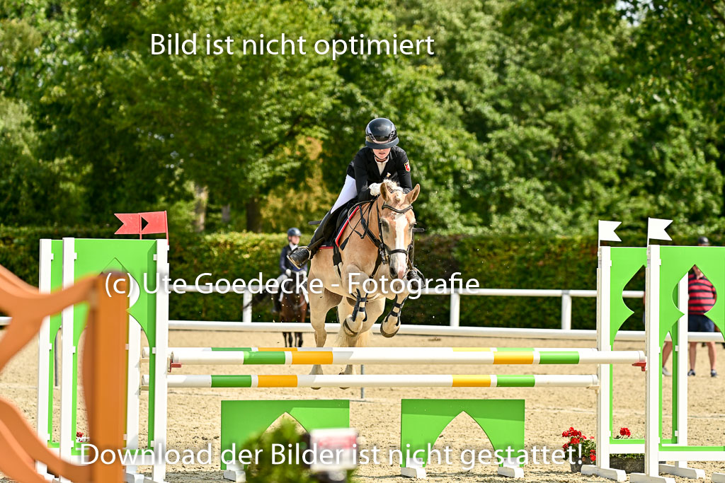 Bundesnachwuchschampionat Vielseitigkeit 2025 | 09082025 Springen Ponys _085 