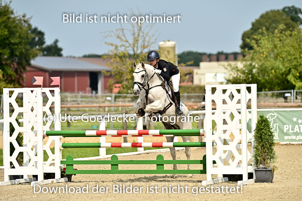 Bundesnachwuchschampionat Vielseitigkeit 2025 | 09082025 Springen Ponys _089 