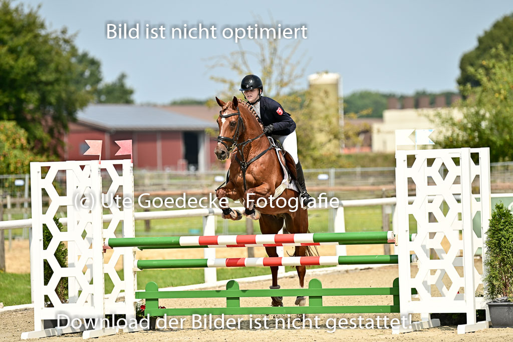 Bundesnachwuchschampionat Vielseitigkeit 2025 | 09082025 Springen Ponys _107 